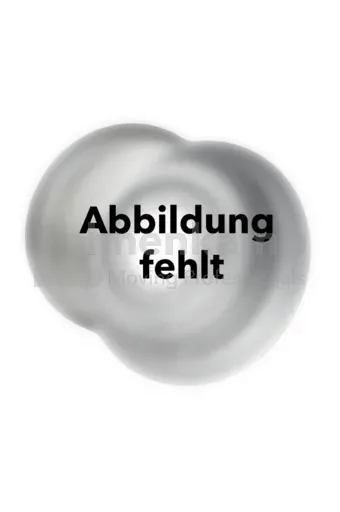 1x Felge 16.00 x 17